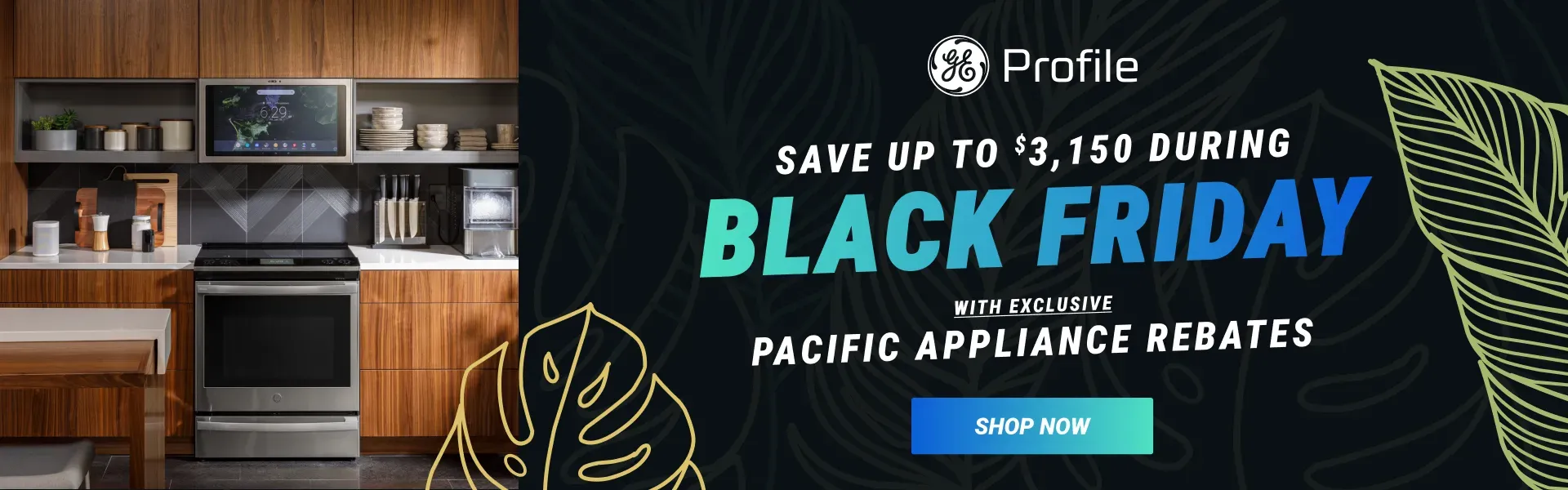 Black Friday GE Profile